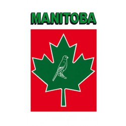 Misto per canarini  T4  Manitoba1 kg scad 07/2023